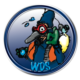 WDS Logo